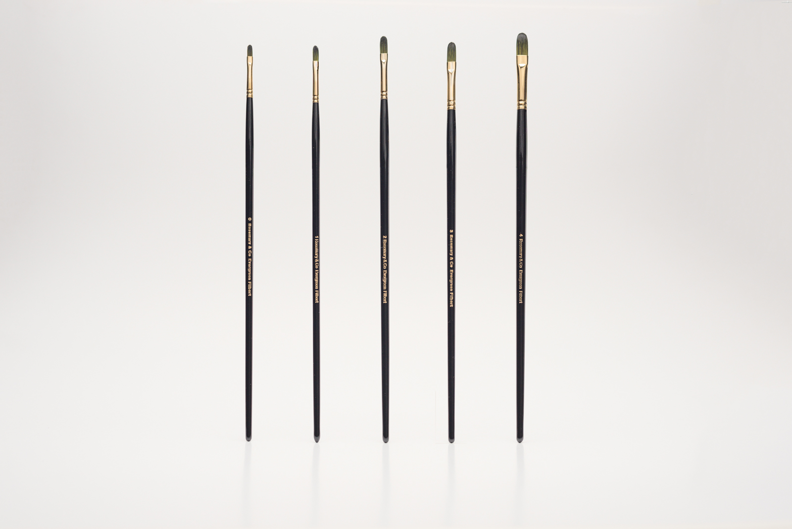 Rosemary Evergreen Acryl Olieverf Filbert Kattentong Penseel Serie