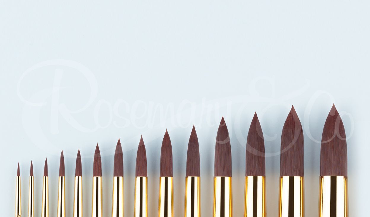 Rosemary Shiraz Pointed Rounds 