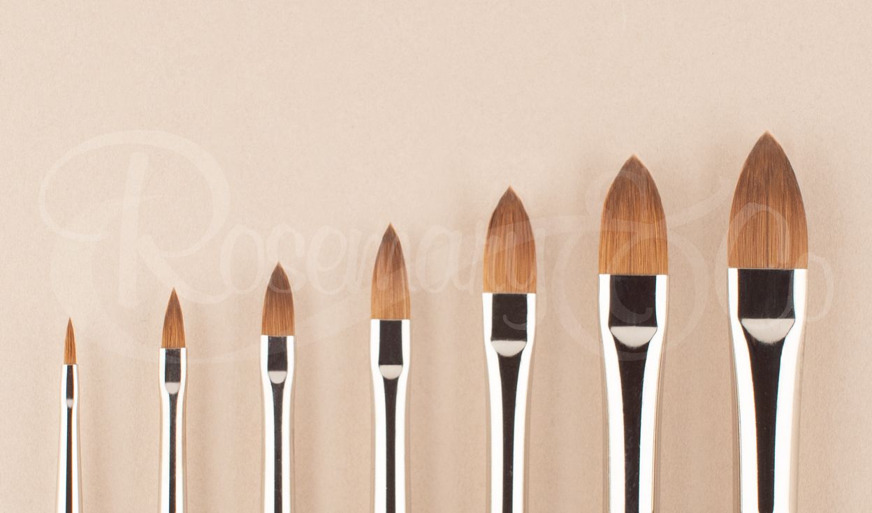 Rosemary Series 66. Pure Kolinsky Filbert