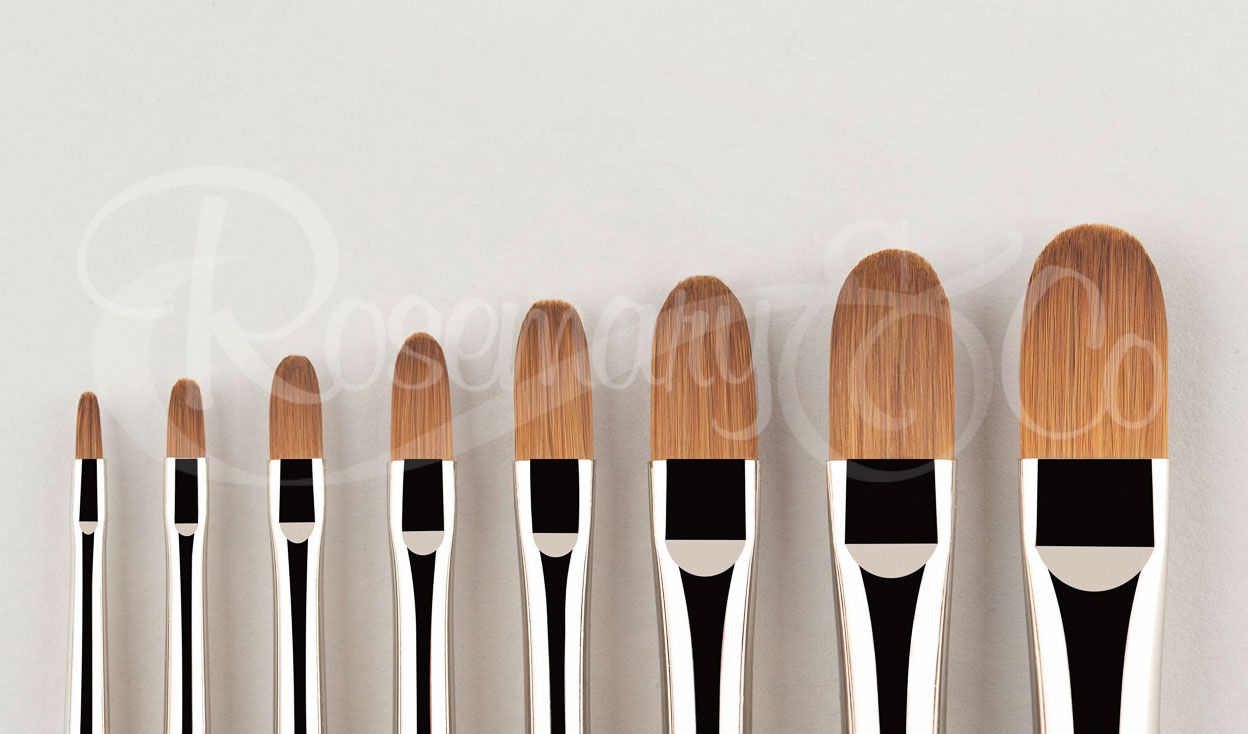 Rosemary Red Dot Domed Filberts